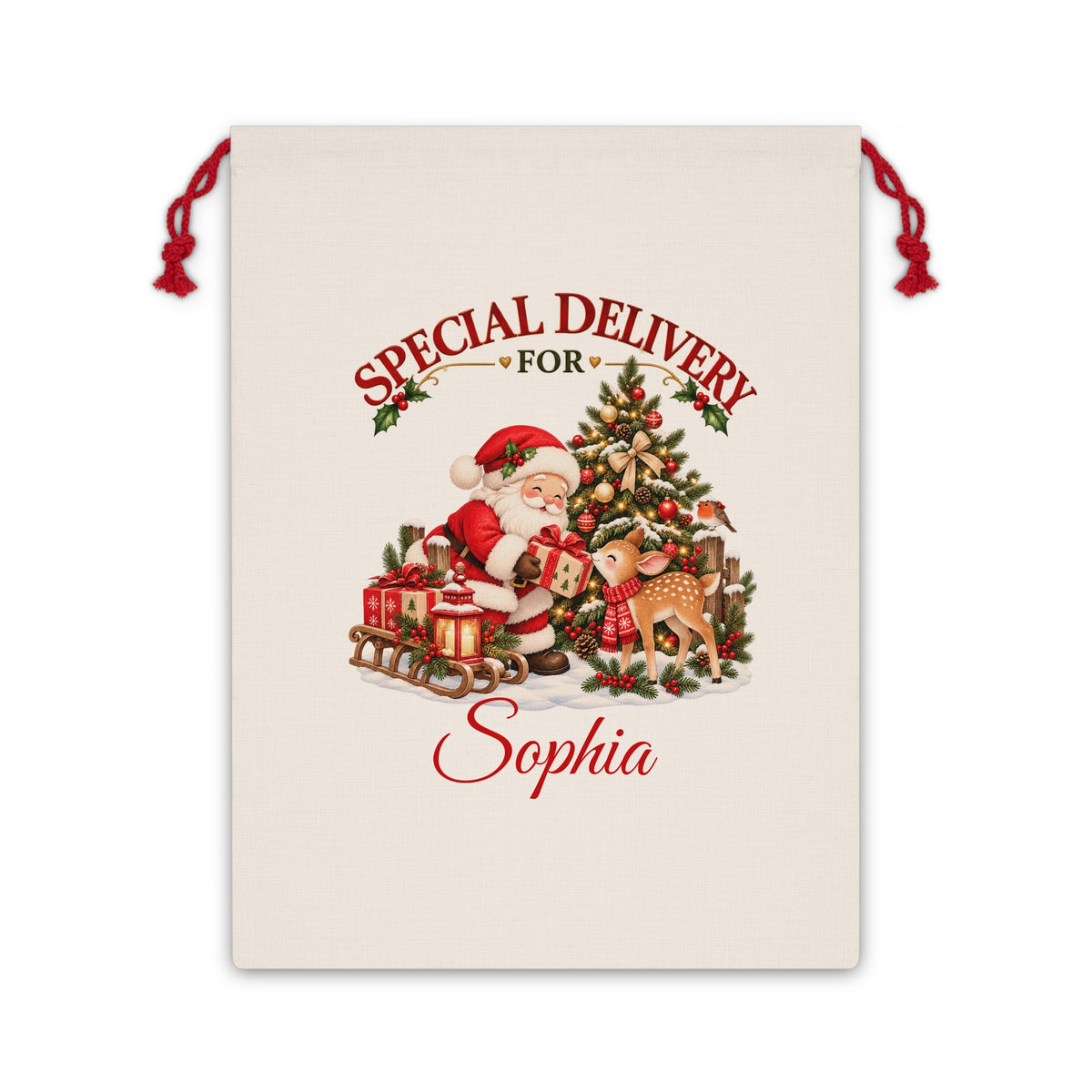Personalized Christmas Sack with Name, Santa Gift Bag, Special Delivery for Kids, Custom Christmas Eve Gift Sack